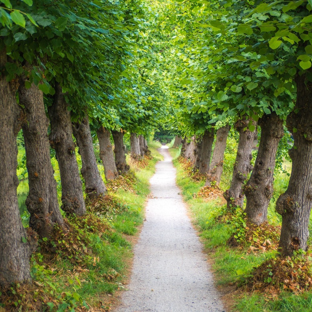They Might Be Called Trees Of Righteousness A Word From God